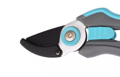 Anvil pruner1 Anvil pruner1