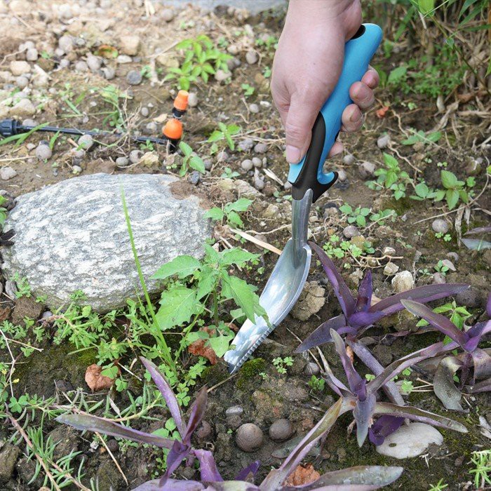 hand tool weeder