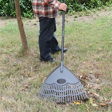 Како бринемо о Винчи у зимском периоду?