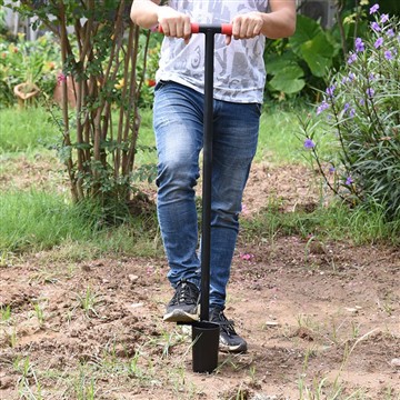 Како креирати ниско у башту лепоте -?