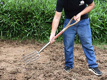 Кратко представљање руске баштенске културе