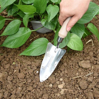 Дневник садње баште -1