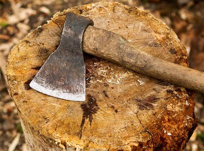 Алати за сечење дрвећа и заштитна опрема