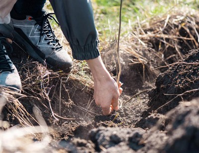Разиграни кораци за ископавање корена