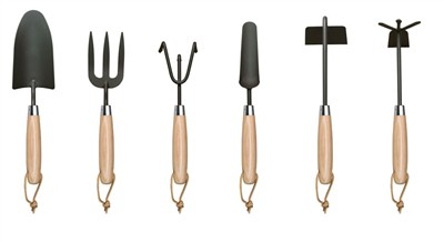 Садња парадајза код куће