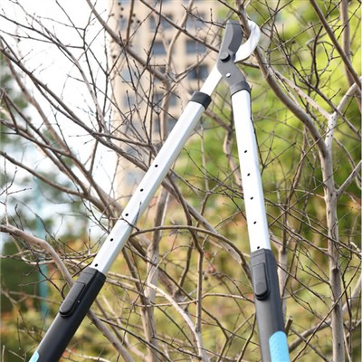 Вртларство за запослене појединце: савети за бригу о башти у ограниченом времену