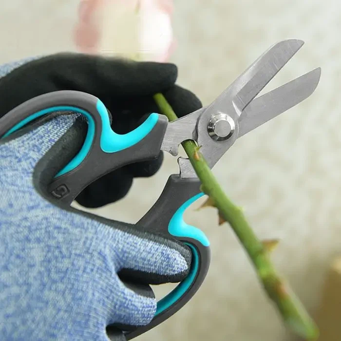 Маказе за орезивање и руже биће савршени спој