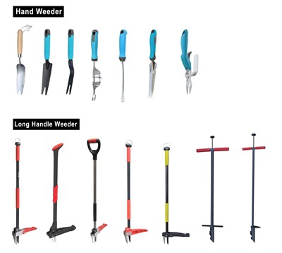 Неговање зелене: прихватање одрживости у вашој башти