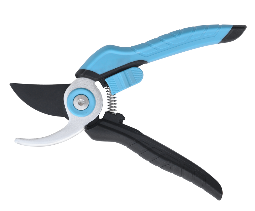 info-859-710 info-859-710