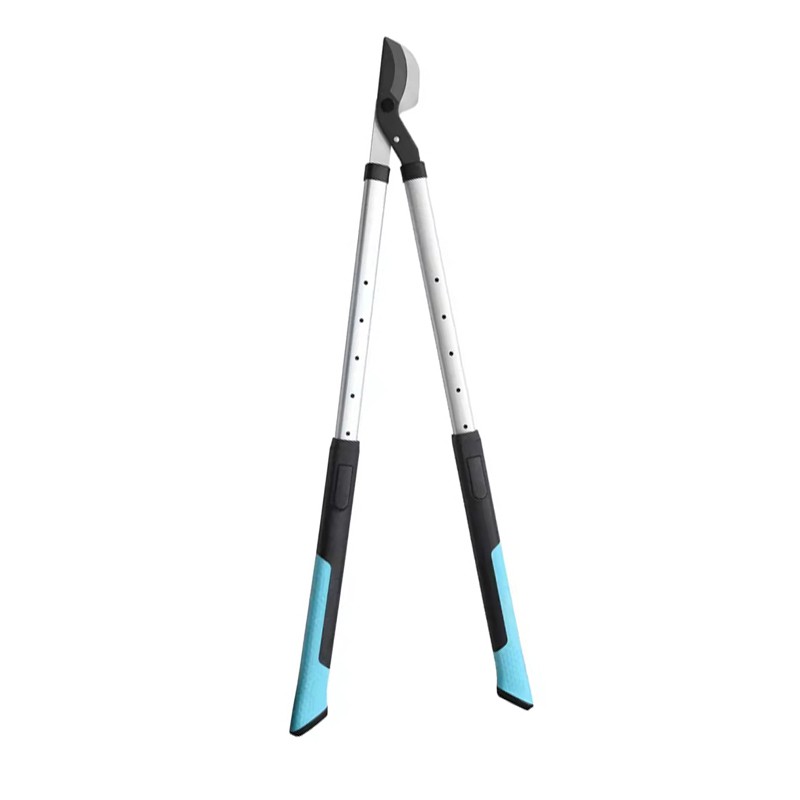 ЛОНГ РОАДЛЕД ЛОППЕРС