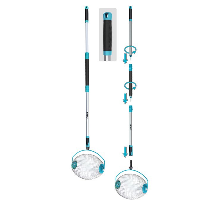 Матична лука