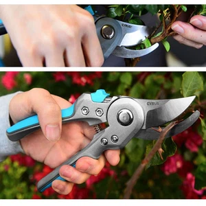 pruner for oem pruner for oem